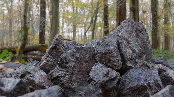 images/goods_img/20210312/3D model Moss 7 Species and Stones - PBR Asset Kit/3.jpg